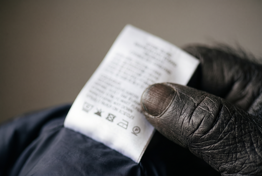 Inside wash label of a Stone Island jacket held between two fingers
