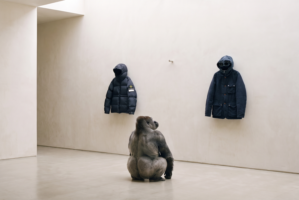 A Stone Island jacket and a C.P. Company goggle jacket hanging side by side on a rail