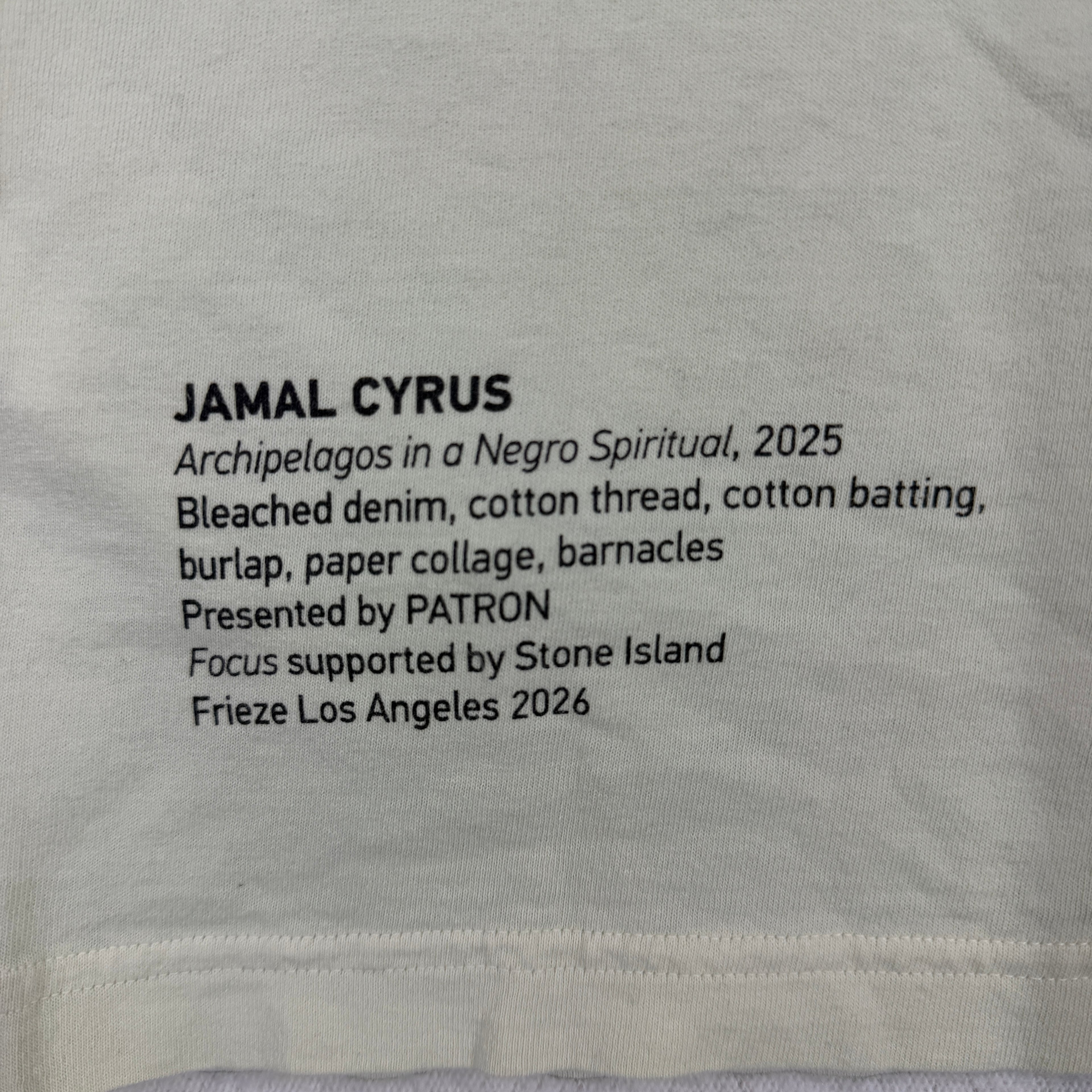 Stone Island Frieze Los Angeles 2026 Jamal Cyrus Print T-Shirt — detail