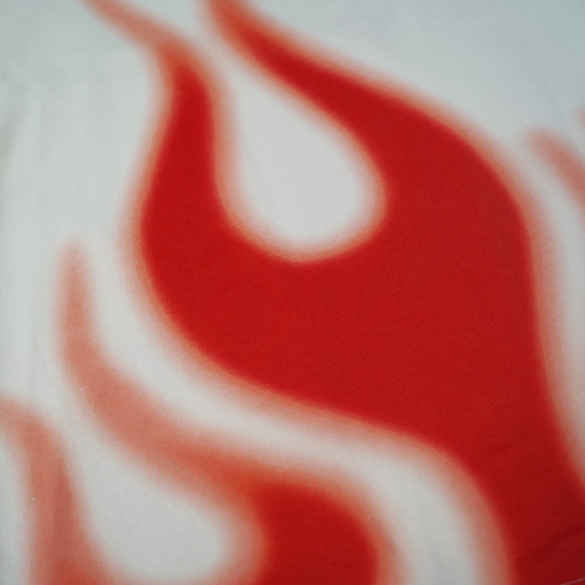 Heron Preston T-Shirt Leron White Red Flames